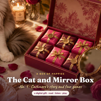 The Cat and Mirror Box No. 1 | A Box of Happies